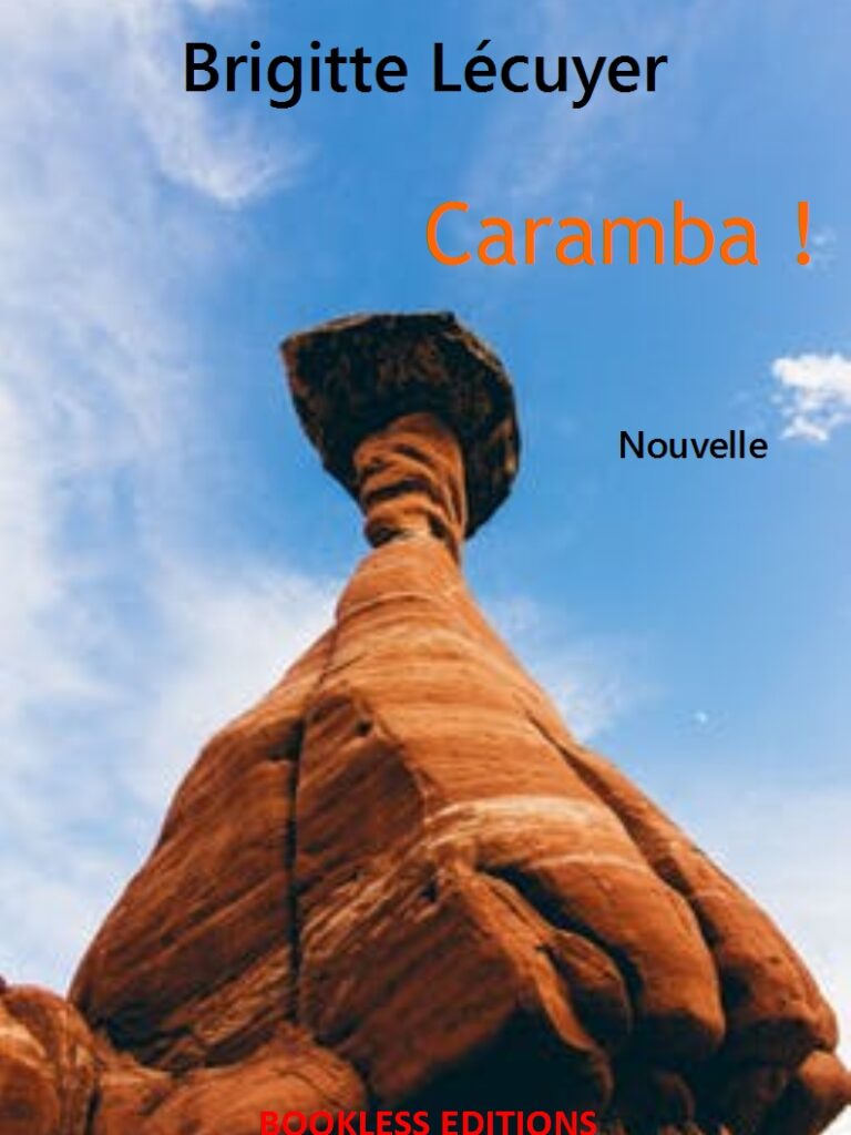 Caramba de Brigitte Lécuyer, Bookless Editions