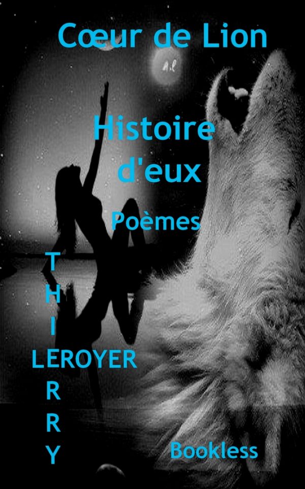 Histoire d'eux de Thierry Leroyer, Bookless Editions