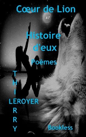 Histoire d'eux - recueil de poésie - Thierry Leroyer - Bookless Editions