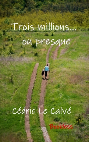Trois millions ou presque de Cédric Le Calvé, Bookless Editions