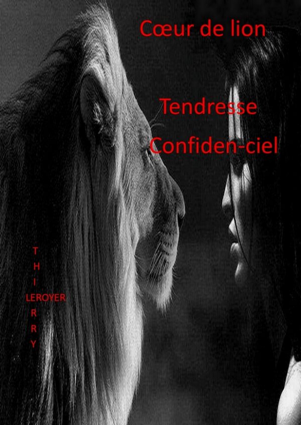 Tendresse-confiden-ciel de Thierry Leroyer, Bookless Editions