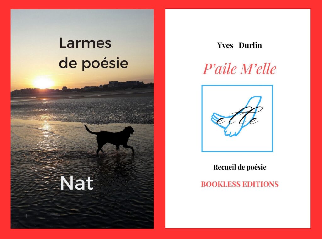 Une rentrée poétique très réussie - Bookless editions