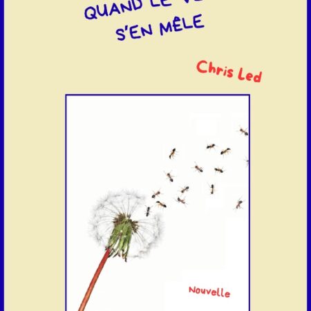 Quand le vent s'en mêle - Nouvelle - Chris Led - Bookless Editions