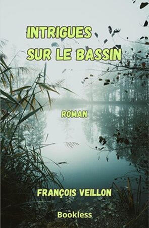 Intrigues sur le bassin de François Veillon - Roman - Bookless Editions
