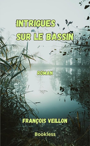 Intrigues sur le bassin de François Veillon - Roman - Bookless Editions