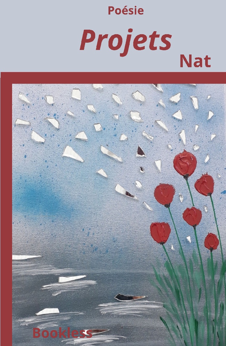 Projet de Nathalie Carlier, recueil de poèmes en prose - Bookless Editions